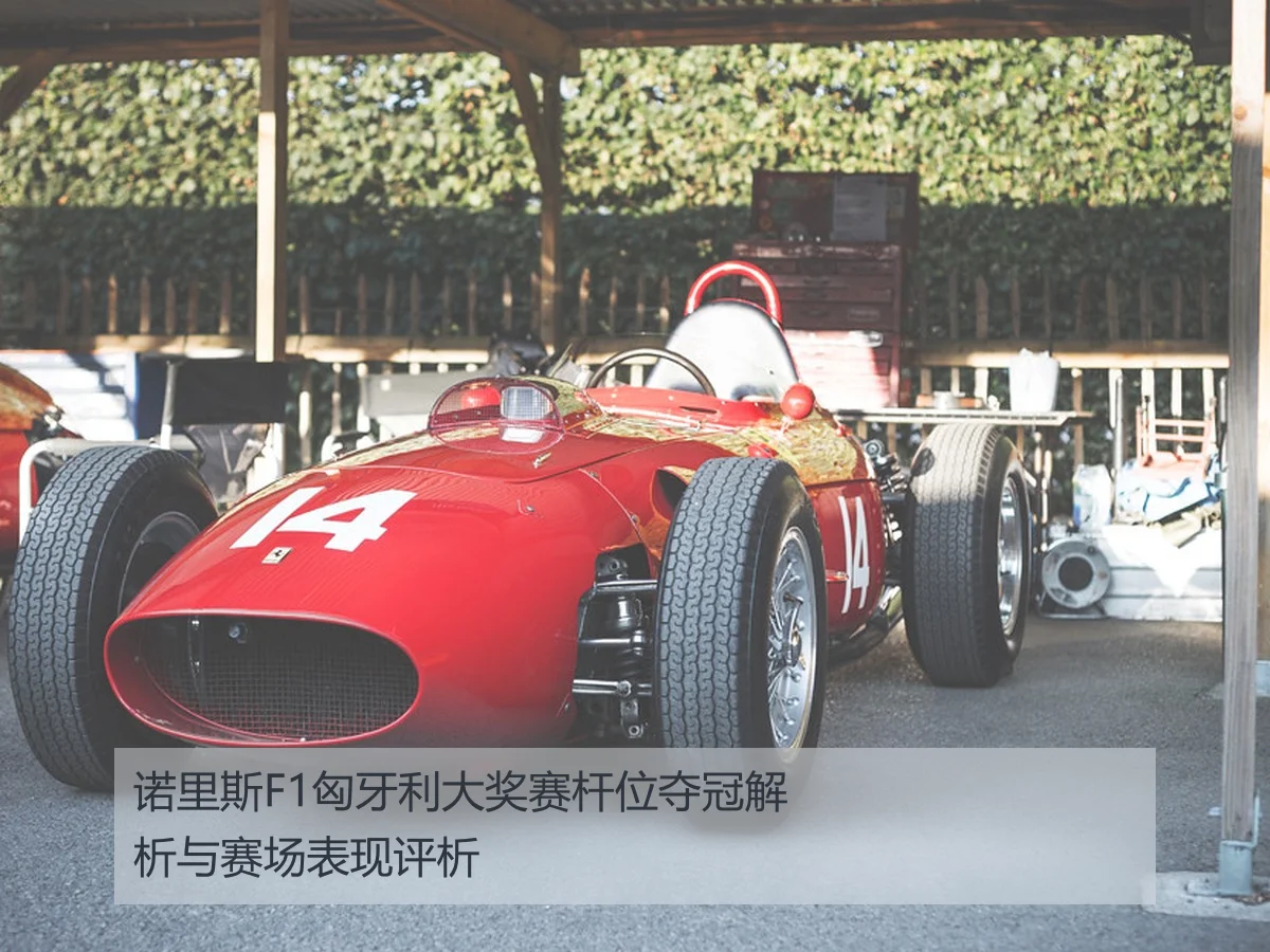 诺里斯F1匈牙利大奖赛杆位夺冠解析与赛场表现评析